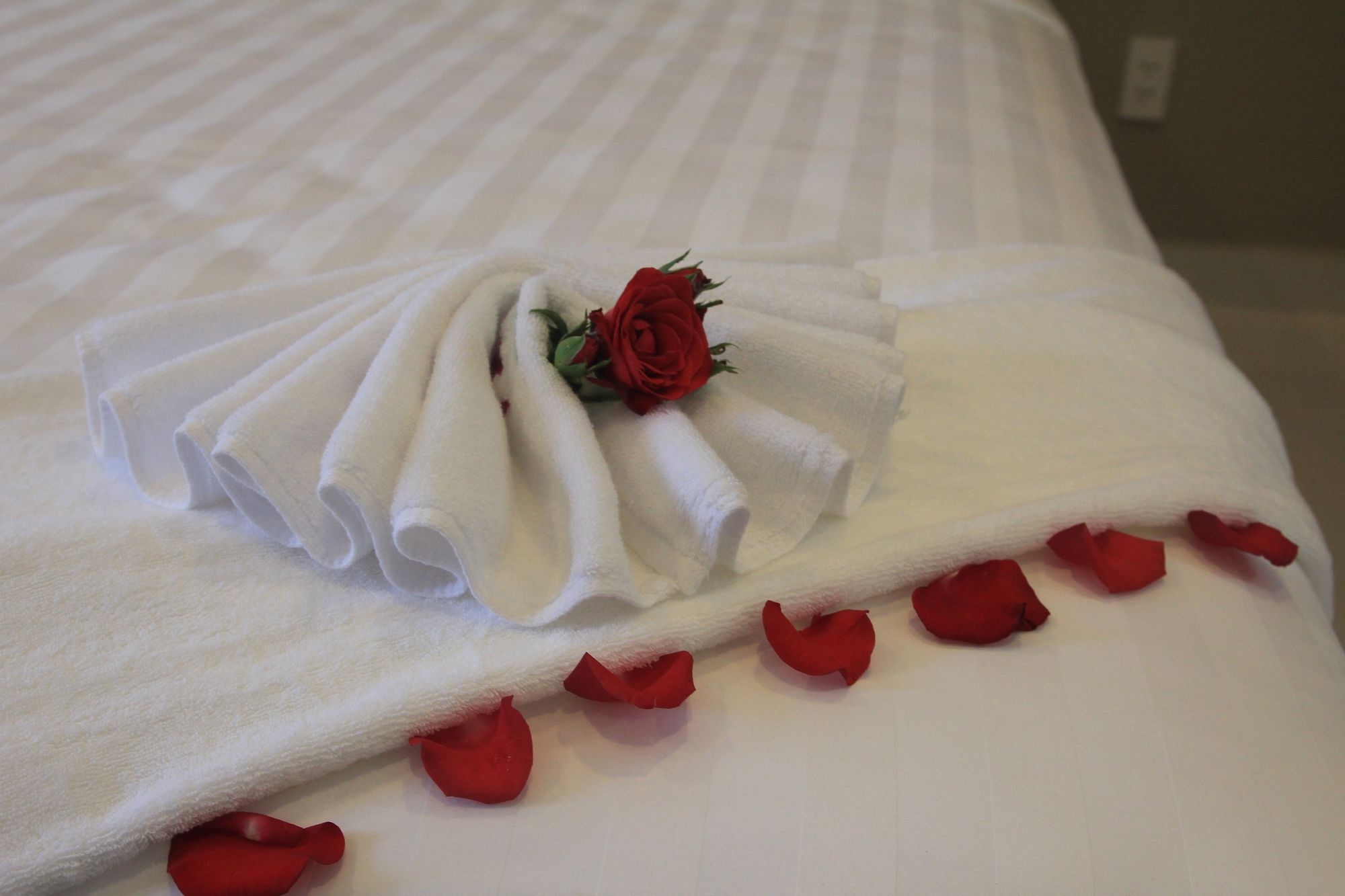 Vanda Hotel Που Κουόκ Εξωτερικό φωτογραφία